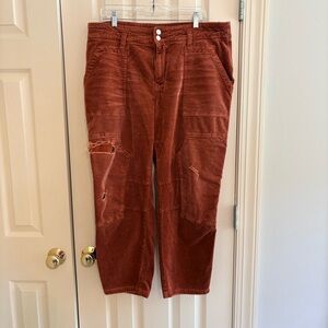 Anthropologie Pilcro rust Pants